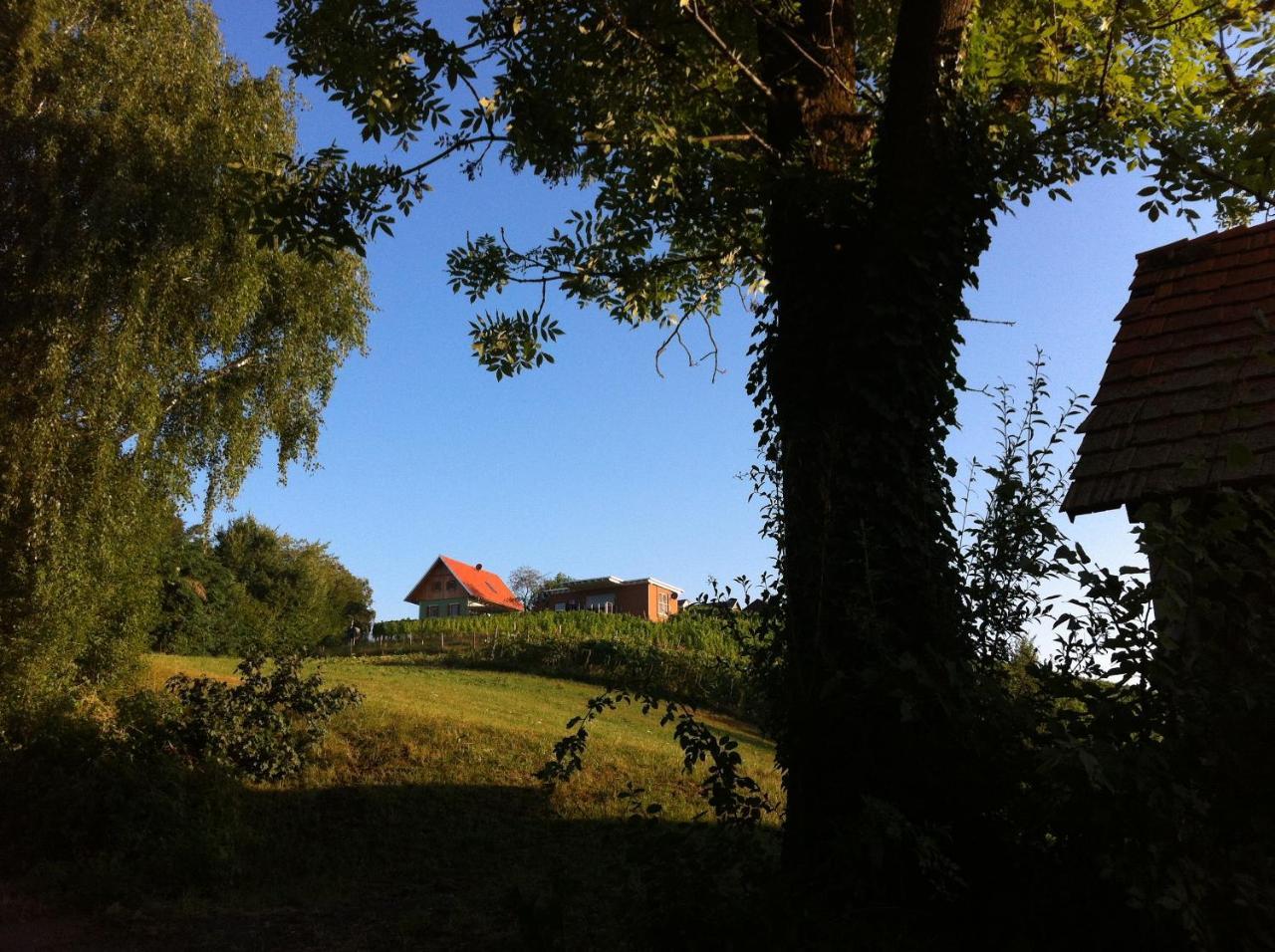 Ferienhäuser im Weingarten Fehring Exterior foto