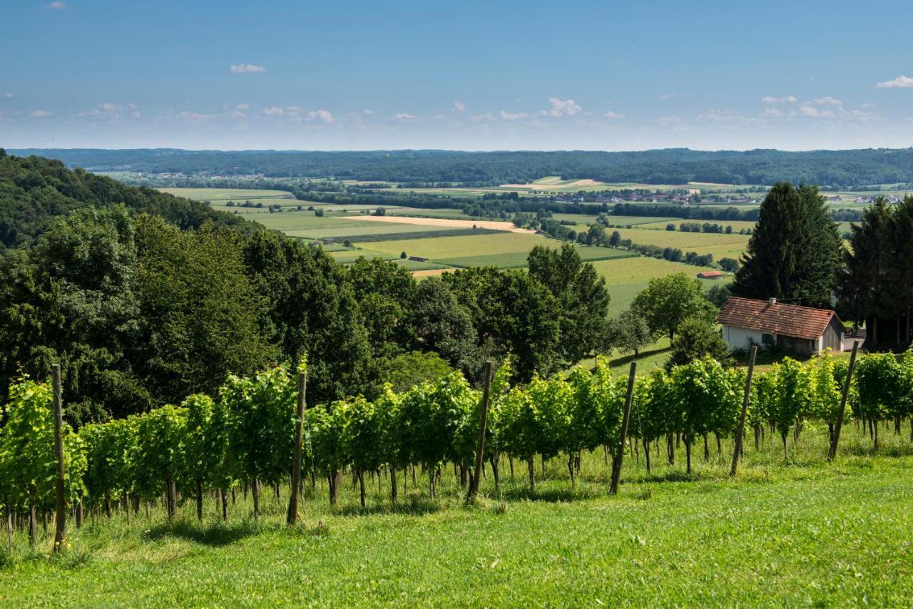 Ferienhäuser im Weingarten Fehring Exterior foto